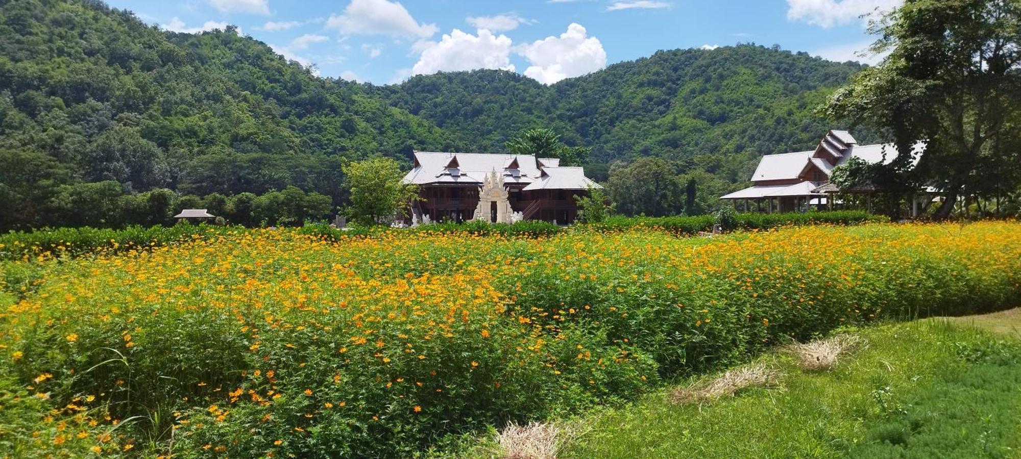 La Villa De Madame Su Chiang Mai Eksteriør bilde