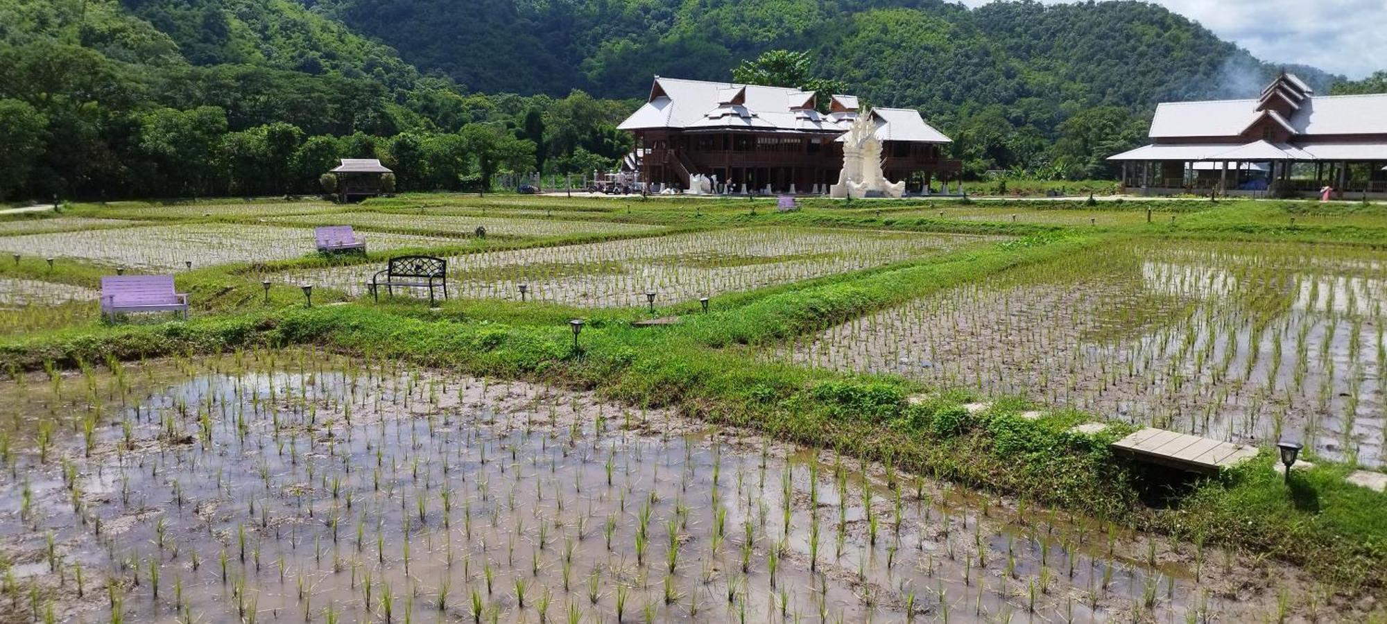 La Villa De Madame Su Chiang Mai Eksteriør bilde